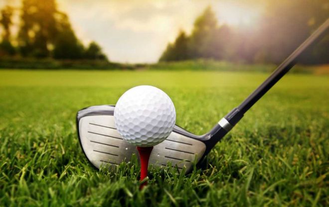 Custom Golf Tees: The Perfect Gift for Golf Enthusiasts